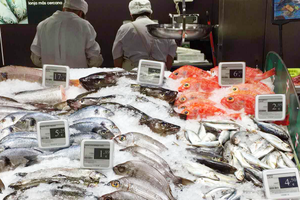 Nicolis Project | in-store digital communication box-porta-etichette-elettroniche_1-600x400 Etichette elettroniche più sicure con i box protettivi Nicolis Project  