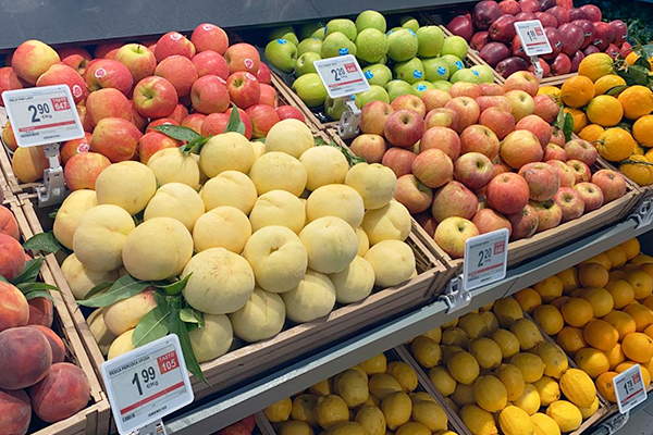 Nicolis Project | in-store digital communication nicolisproject-MD-Volla-Anteprima-1 News  