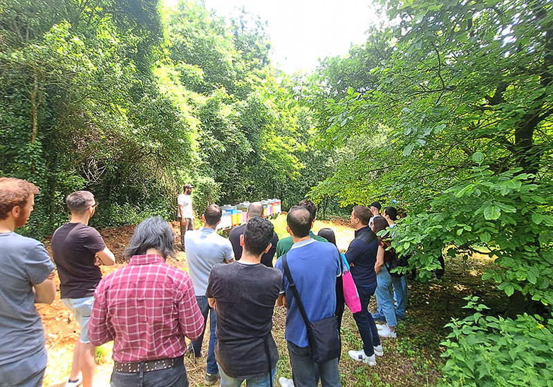 Nicolis Project | in-store digital communication np-img-news-giornata-apicolutra-5 Nicolis Project | in-store digital communication np-img-news-giornata-apicolutra-5 Nicolis Project Promuove la Sostenibilità e l'Amore per le Api