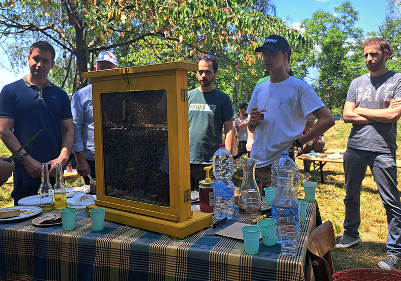 Nicolis Project | in-store digital communication np-img-news-giornata-apicolutra-7 Nicolis Project | in-store digital communication np-img-news-giornata-apicolutra-7 Nicolis Project Promuove la Sostenibilità e l'Amore per le Api